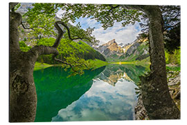 Cuadro de aluminio Seealpsee