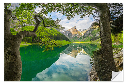 Vinilo para la pared Seealpsee