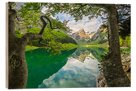 Holzbild Seealpsee