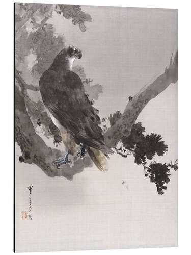 Aluminium print Eagle in a Tree