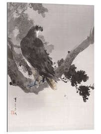 Gallery print Eagle in a Tree