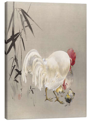 Canvas print Rooster and Hen with Chicks