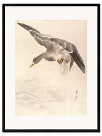 Framed art print Ducks land on the water