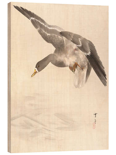 Hout print Ducks land on the water