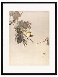 Gerahmter Kunstdruck Vögel auf einem Zweig