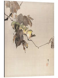 Magnettafel Vögel auf einem Zweig