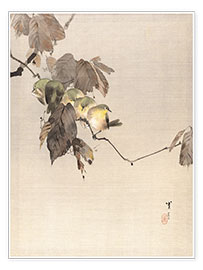 Tableau  Oiseaux sur une branche - Watanabe Seitei