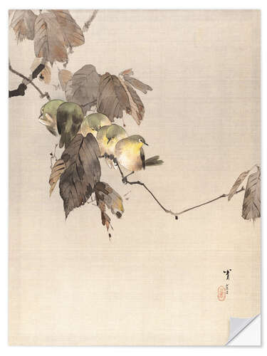 Selvklebende plakat Birds on a Branch