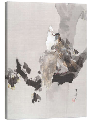 Tableau sur toile Pigeons dans un arbre