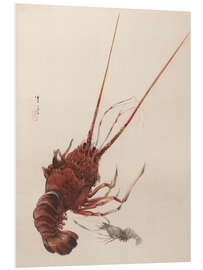 Foam board print Crayfish