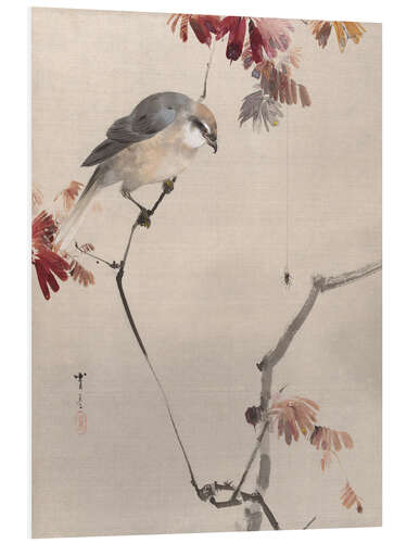 Foam board print Bird on Branch Watching Spider