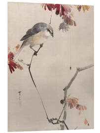 Foam board print Bird on Branch Watching Spider