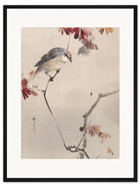 Gerahmter Kunstdruck Vogel beobachtet eine Spinne
