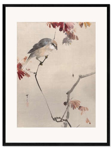 Ingelijste kunstdruk Bird on Branch Watching Spider