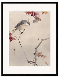 Ingelijste kunstdruk Bird on Branch Watching Spider