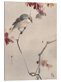 Gallery print Bird on Branch Watching Spider