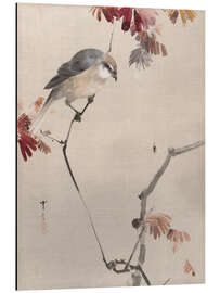 Magnettafel Vogel beobachtet eine Spinne