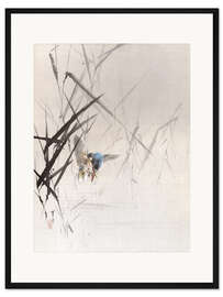 Gerahmter Kunstdruck Vogel fängt Fisch