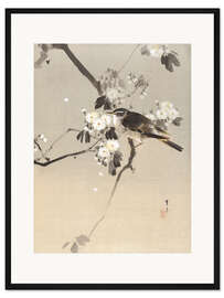 Gerahmter Kunstdruck Vogel auf einem blühenden Zweig