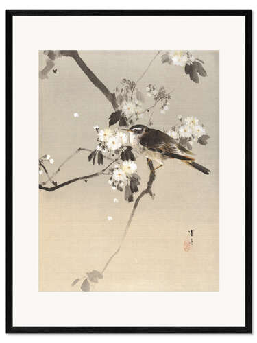 Ingelijste kunstdruk Bird on a Flowering Branch