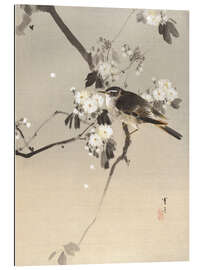 Gallery print Bird on a Flowering Branch