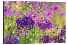 Quadro em alumínio purple allium