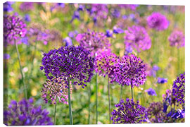 Canvas print purple allium