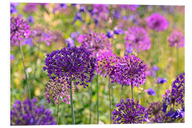 Foam board print purple allium