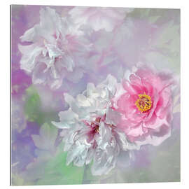 Tableau en plexi-alu Amour de pivoine