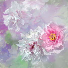 Magnettafel Peony Love