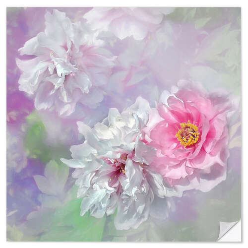 Wall sticker Peony Love