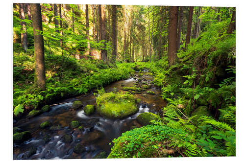 Foam board print Bohemian Switzerland