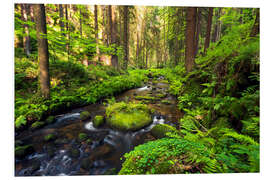 Foam board print Bohemian Switzerland