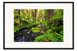 Gerahmter Kunstdruck Böhmische Schweiz