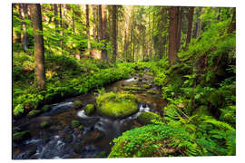 Magnettafel Böhmische Schweiz
