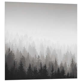 Foam board print Forest in fog