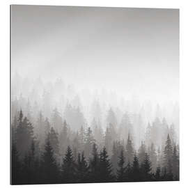 Quadro em plexi-alumínio Forest in fog