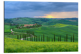 Stampa su alluminio Rural property in the hills Crete Senesi, Tuscany