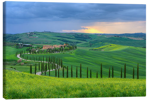 Canvas print Rural property in the hills Crete Senesi, Tuscany