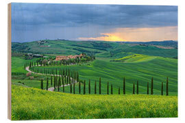 Hout print Rural property in the hills Crete Senesi, Tuscany