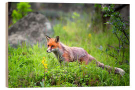 Holzbild Fuchs im Frühjahr