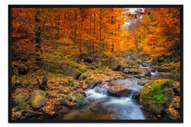 Gerahmter Kunstdruck Goldener Herbst im Nationalpark Harz