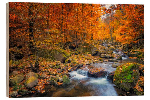 Holzbild Goldener Herbst im Nationalpark Harz