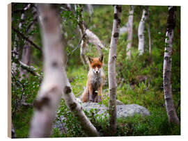 Holzbild Fuchs im Frühjahr