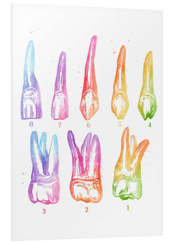 Foam board print Rainbow teeth