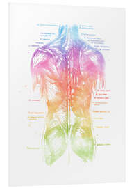 Tableau en PVC Muscles du dos arc-en-ciel