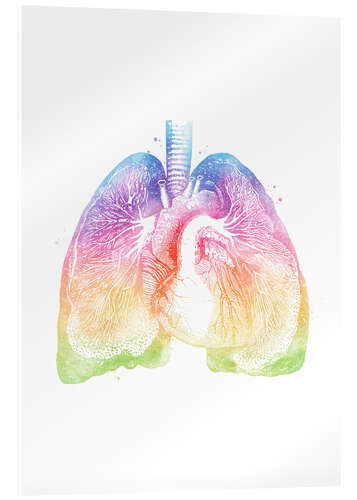 Cuadro de metacrilato Pulmones arcoiris