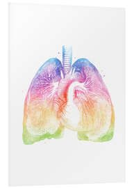 Foam board print Rainbow lungs