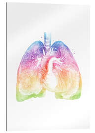 Galleriprint Rainbow lungs