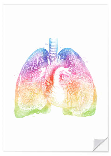 Naklejka na ścianę Rainbow lungs